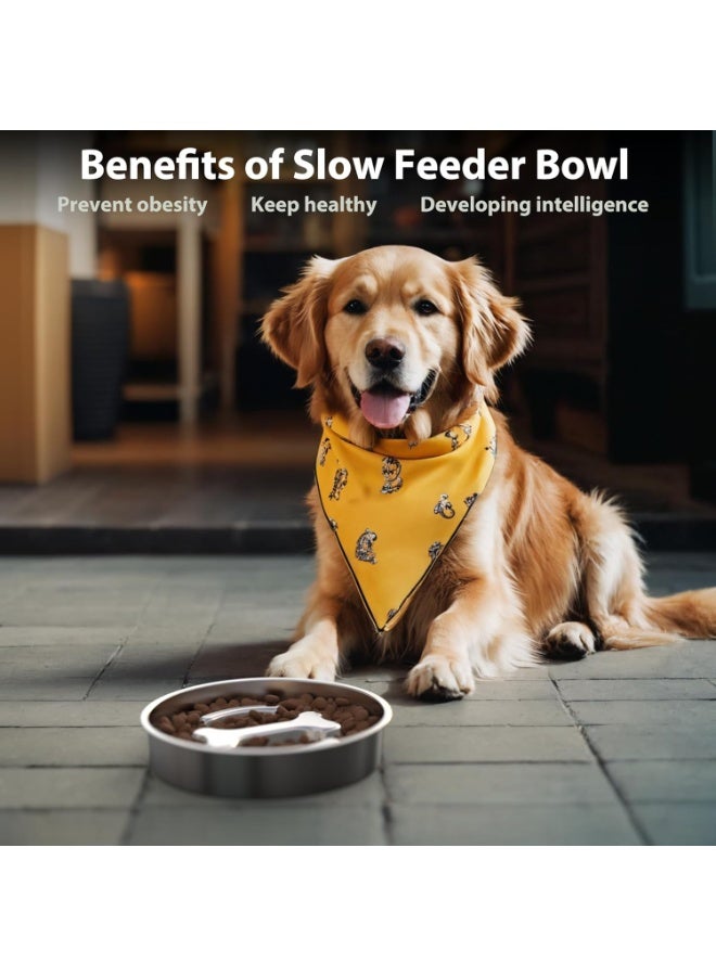 كيت الأطعمة البطيئة للكلاب مجموعة الفولاذ المقاوم للصدأ وعاء طعام الكلاب غير المنزلق للسلالات الصغيرة والمتوسطة الكبيرة 2 ~ 4 أكواب وعاء الأطعمة البطيئة للكلاب للأكل السريع يبطئ أسفل الأكل وعاء طعام الكلاب وأوعاء المياه الكلاب 2Packs - Image 3